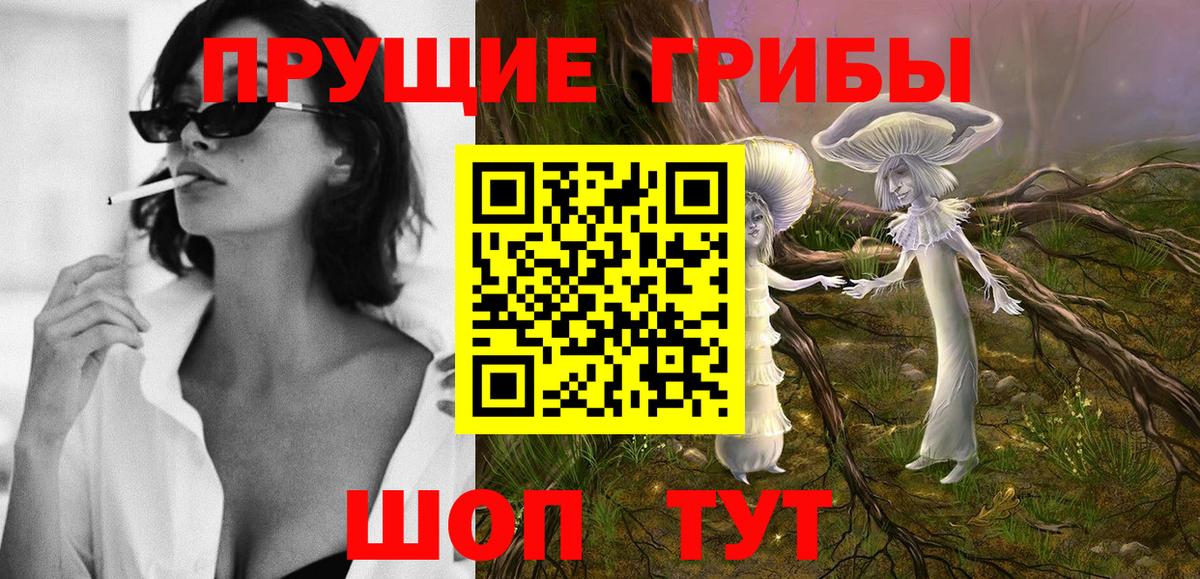 Галлюциногенные грибы Magic Shrooms  купить наркотик  Псилоцибиновые грибы ЛСД  Нижний Тагил  Вход с VPN 